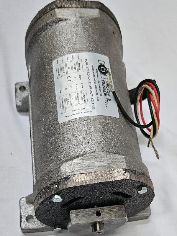 Motor Raimondi Mastino/Terranova 42v.