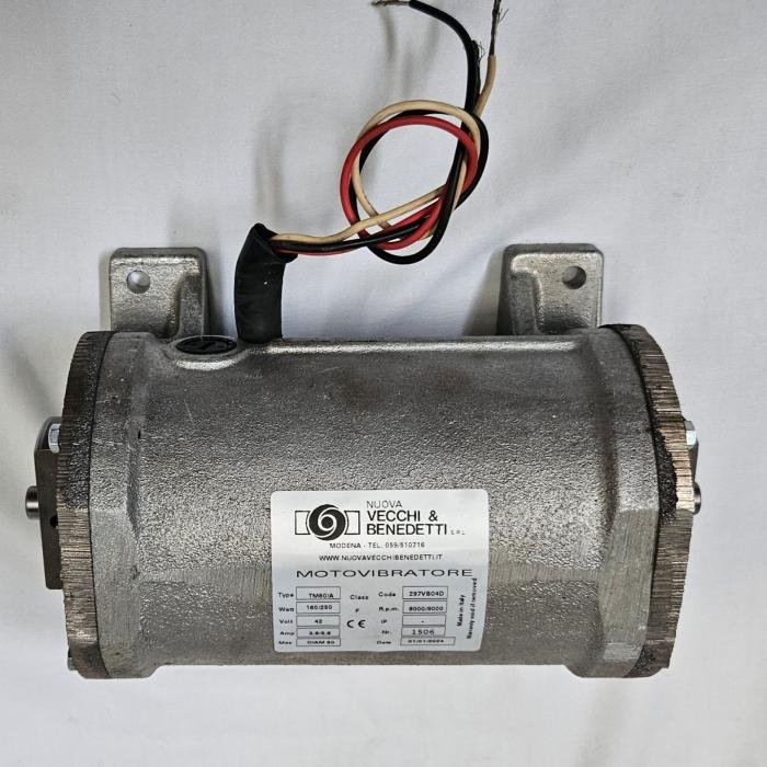 Motor Raimondi Mastino/Terranova 42v.