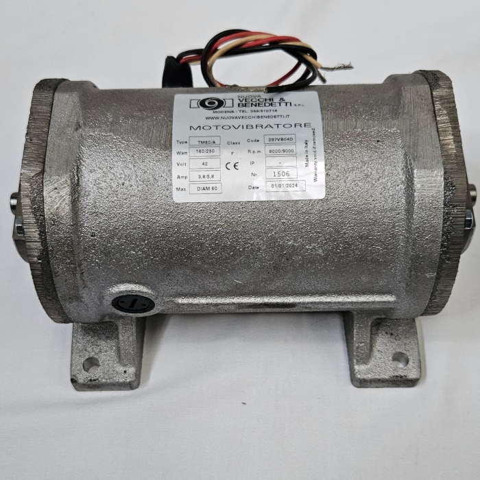 Motor Raimondi Mastino/Terranova 42v.