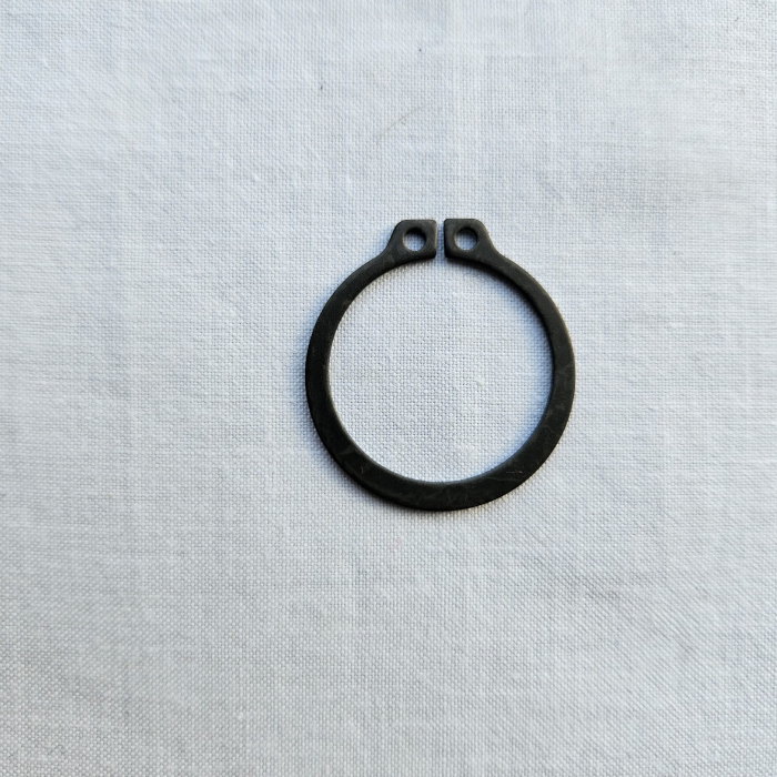 Grupilla rulera Raimondi Mastino