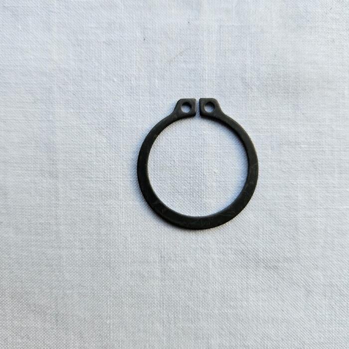 Grupilla rulera Raimondi Mastino