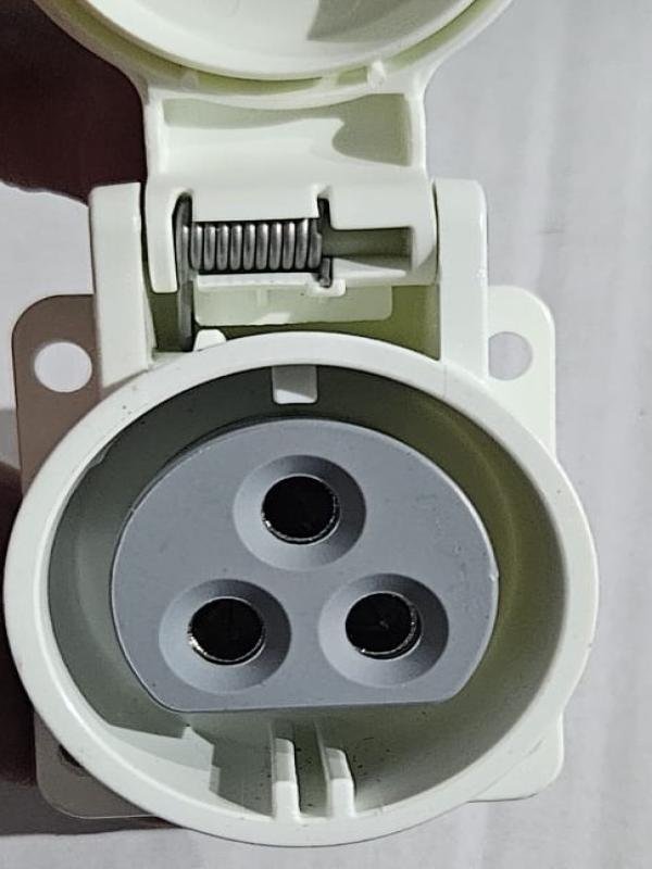 Hembra Transformador  Mastino- Terranova