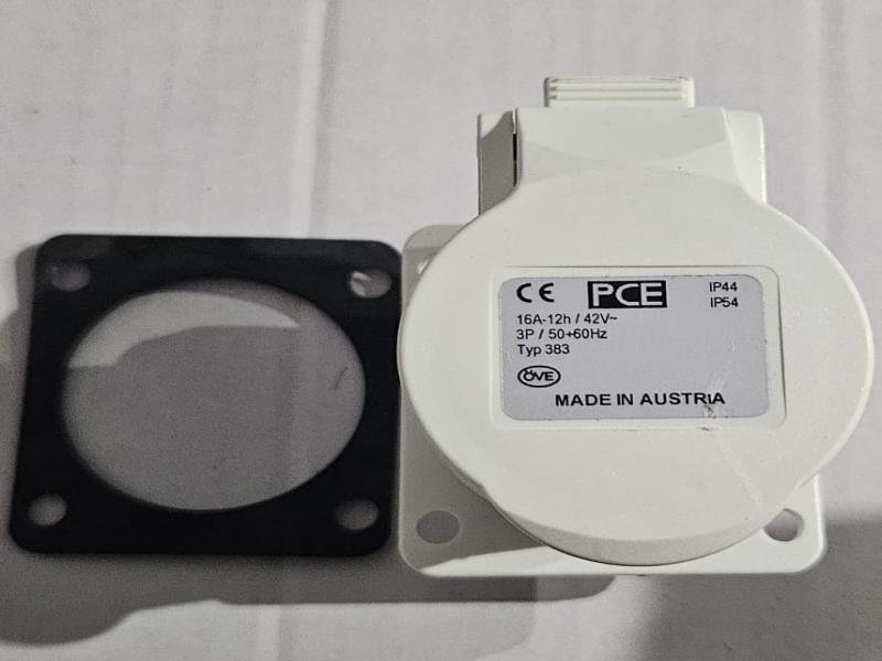 Hembra Transformador  Mastino- Terranova