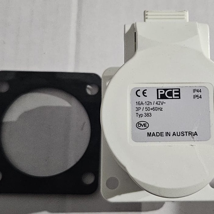 Hembra Transformador  Mastino- Terranova