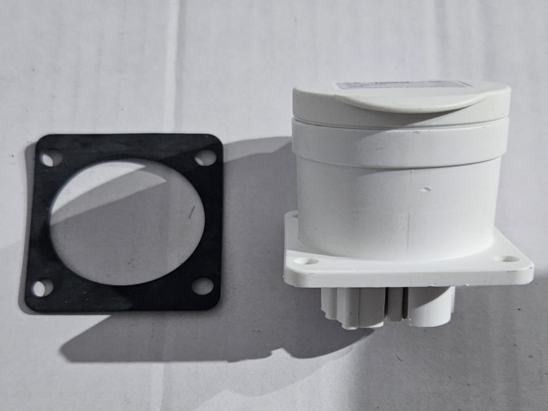 Hembra Transformador  Mastino- Terranova